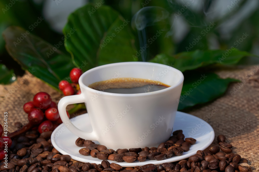 Americano coffee in a white coffee cup with raw and roasted coffee beans background. Americano coffee in a white coffee cup with raw and roasted coffee beans background.