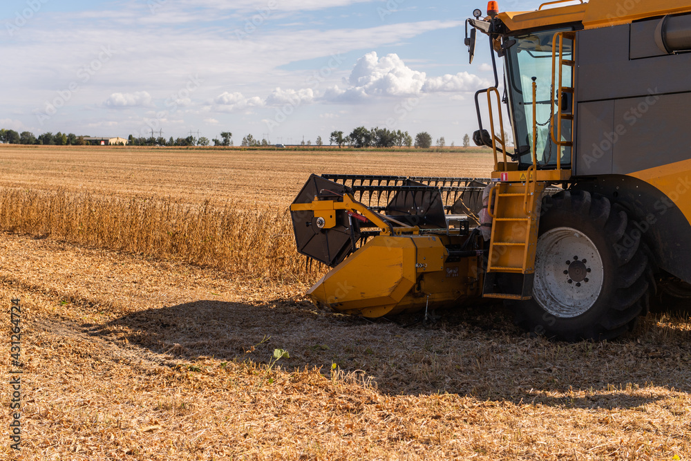 Fototapeta premium Harvesting combine in the wheat.