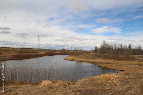 May In The Wetlands  Pylypow Wetlands  Edmonton  Alberta