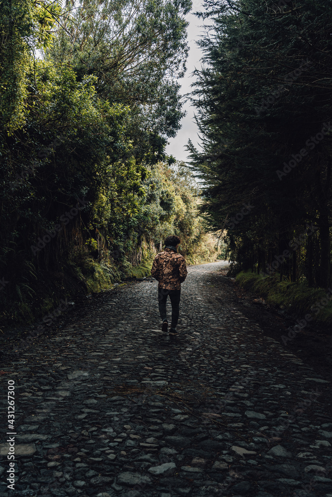 Viajero en un bosque Viajero en un bosque