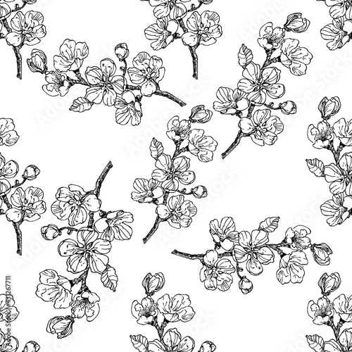 Botanical seamless pattern. Hand drawn black and white bunch of berry cherry. Background with large flowers for textile and fabric. Vintage style.