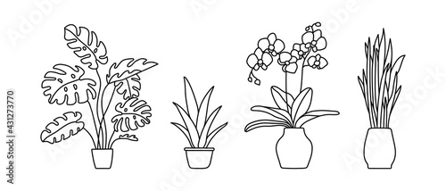 Indoor plant in a pot. Monstera, philodendron, scarlet, orchid and snake plant. Black and white sketch collecton. Vector doodle line illustration set