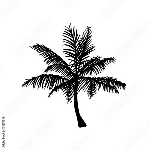 palm tree vector silhouette. рисунок рука. sketch. eps