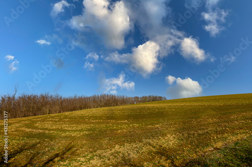 Landwirtschaftliche Fl  che mit Hochstand eines J  gers..