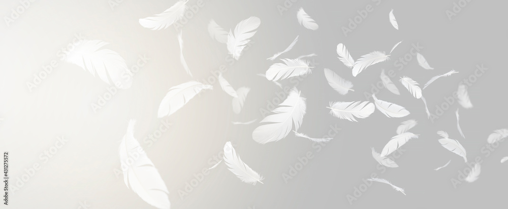 Abstract. Group of White Bird Feathers Floating in The Sky.