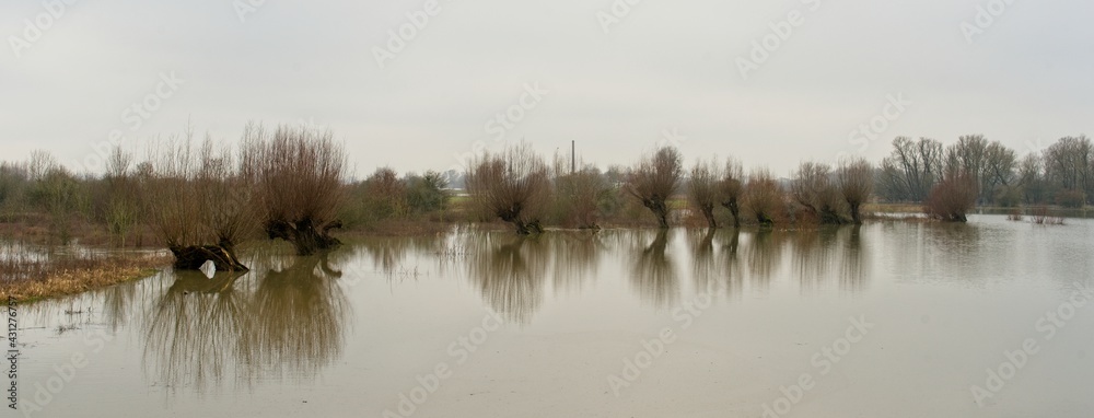 Wageningen Netherlands - 4 February - Flood plains of river Rhine near Wageningen in the Netherlands Wageningen Netherlands - 4 February - Flood plains of river Rhine near Wageningen in the Netherlands
