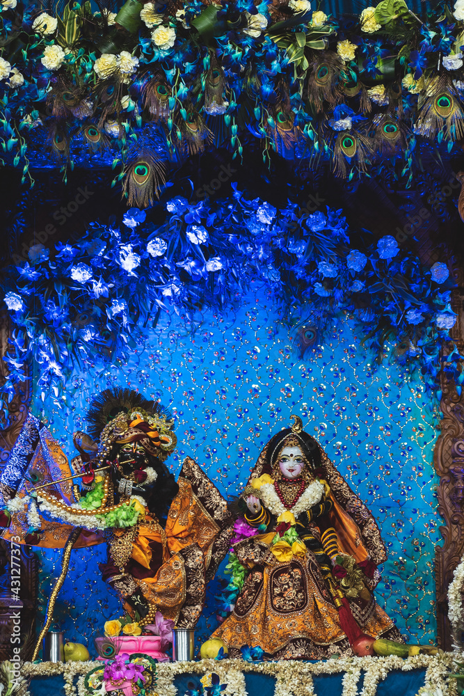Beautiful idol of Lord Krishna and goddess Radha decorated with flowers, clothes and jewellery during Janmashtami celebration. 