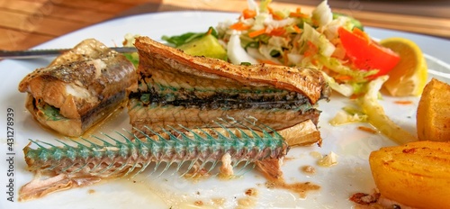 Baked garfish fish. The skeleton is green. photo