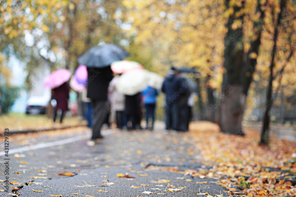 Fototapeta premium Autumn rain in the park