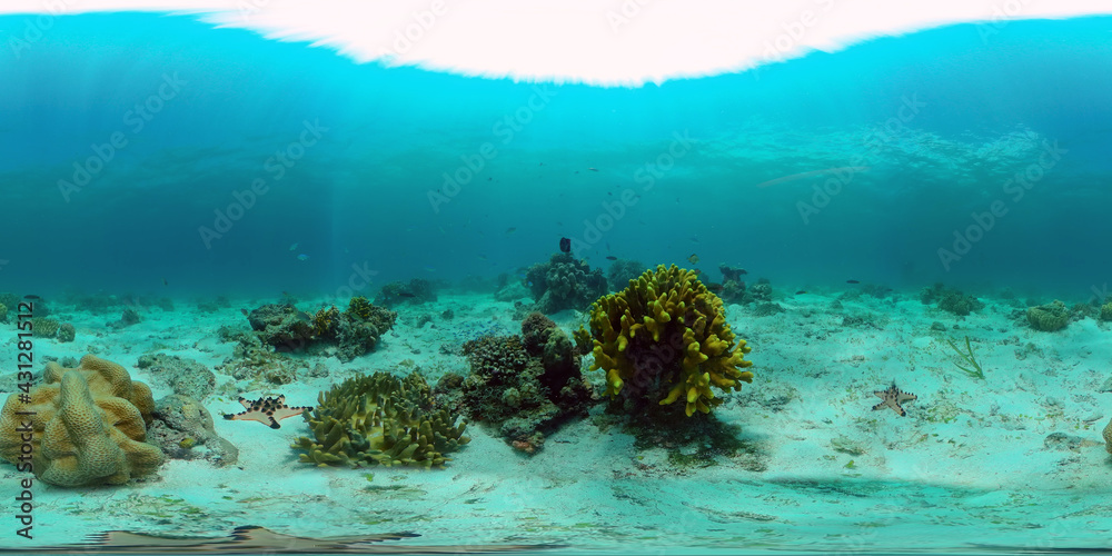 Underwater world with coral reef and tropical fishes. Travel vacation concept 360 panorama VR Underwater world with coral reef and tropical fishes. Travel vacation concept 360 panorama VR