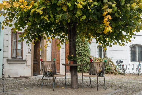Canvas Print Interesting chairs connected to trees in a Czech restaurant street