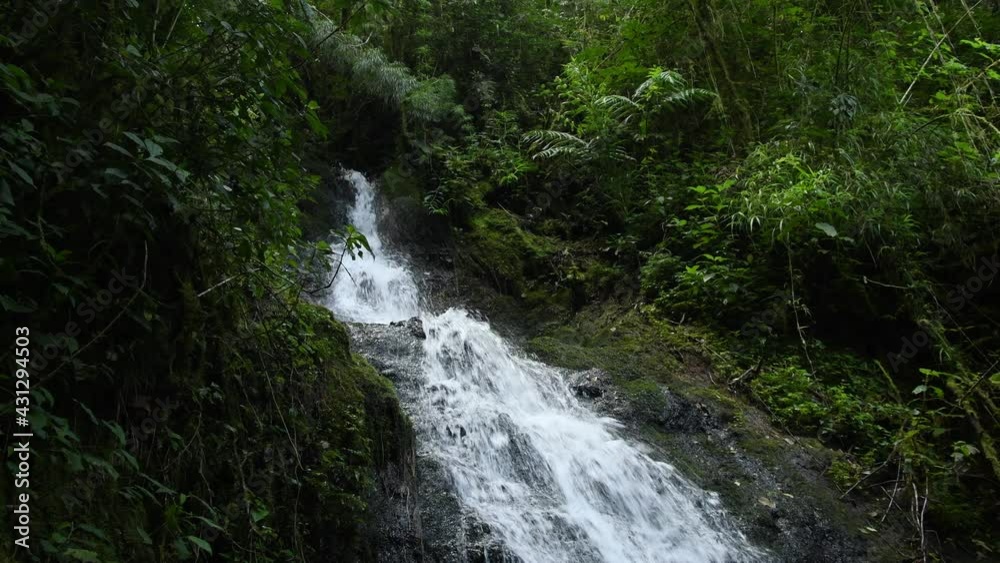 Costa Rica Waterfall in the cloud forest in the high Talamanca mountains, Parque National Los Quetzales, green jungle forest, falling water in National Park, beautiful landscape scenery Costa Rica Waterfall in the cloud forest in the high Talamanca mountains, Parque National Los Quetzales, green jungle forest, falling water in National Park, beautiful landscape scenery
