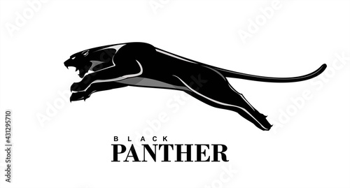 Black panther