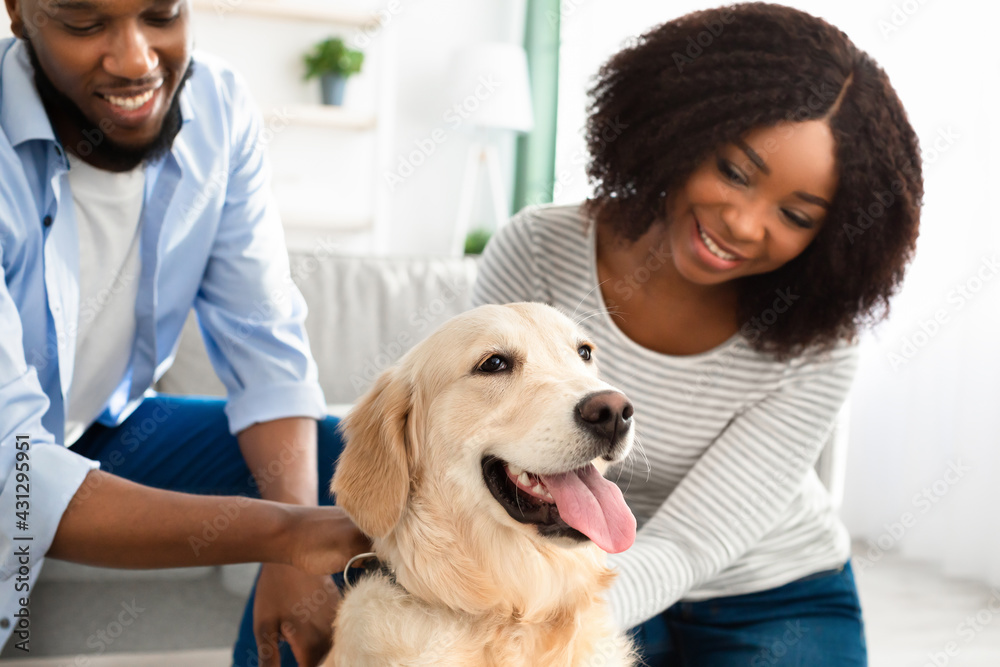 Young black couple hugging with dog posing at home Young black couple hugging with dog posing at home