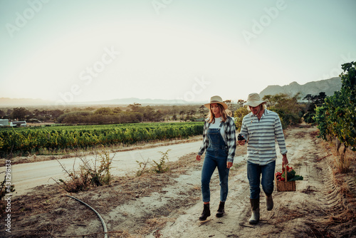 Caucasian romantic couple walking at sunrise through farmlands holding basket of fresh vegetables 