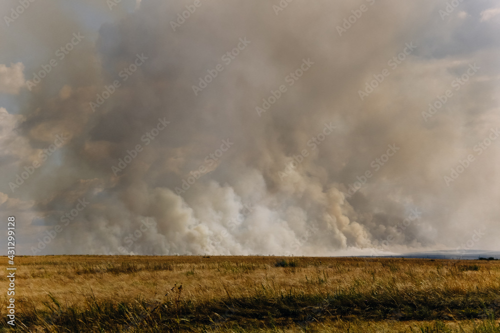fire in the field