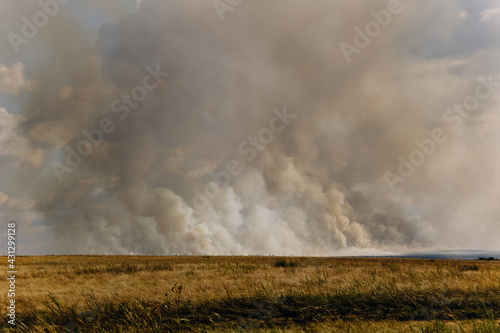 Obraz na płótnie fire in the field w salonie