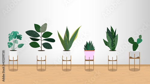Plants purify the air in the house on white pots in the house., isolated on white  background,  Vector Illustration EPS 10