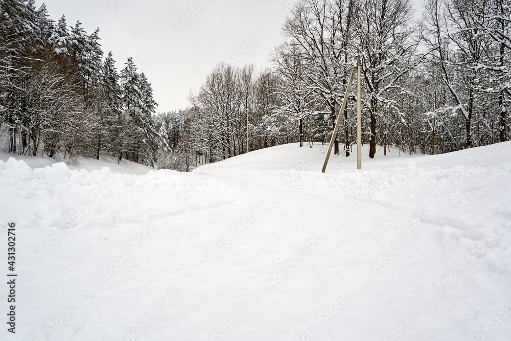 Obraz premium Road covered with snow near the forest during winter time