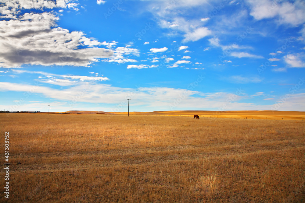The  prairie in clear autumn day