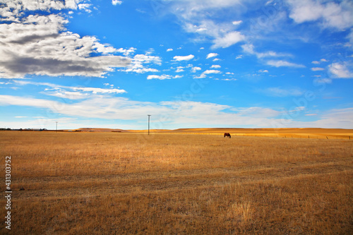 The prairie in clear autumn day