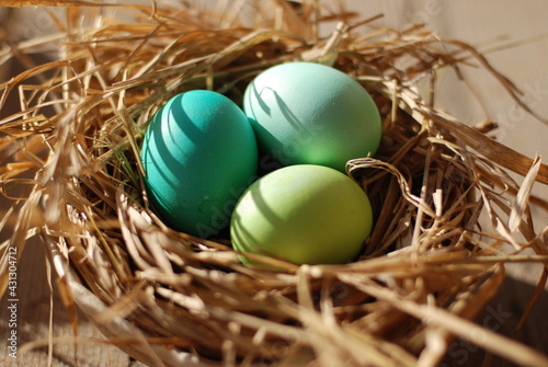 Пасхальные яйца в гнезде