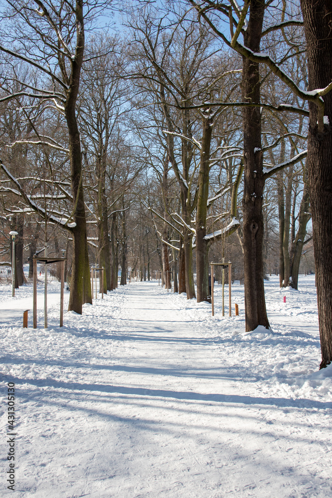 Winter view of the icy and snowy park and river landscapes in Leipzig, Saxony, Germany b Winter view of the icy and snowy park and river landscapes in Leipzig, Saxony, Germany b