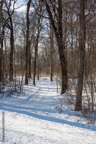 Wallpaper Mural Winter view of the icy and snowy park and river landscapes in Leipzig, Saxony, Germany b Torontodigital.ca