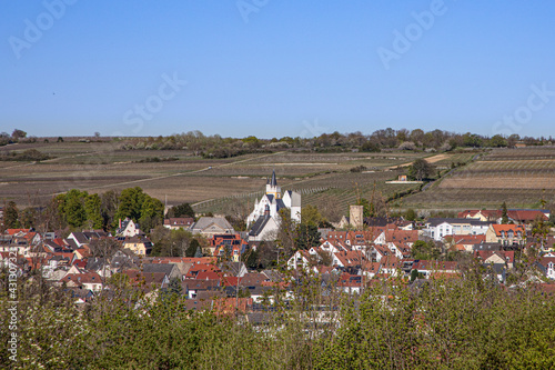 skyline of Ingelheim with famous church and castle photo