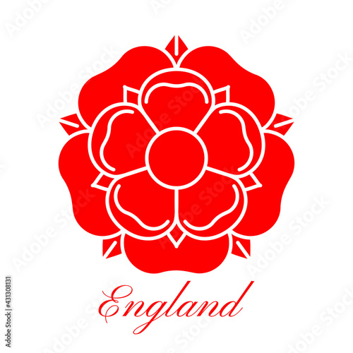 Tudoe rose of Englnd vector illustration.