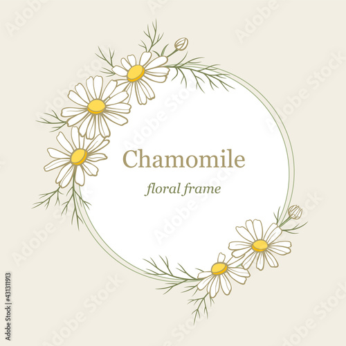 Chamomile flowers round frame, line art drawing. Daisy wild flowers in gentle pastel colors. Floral vector border