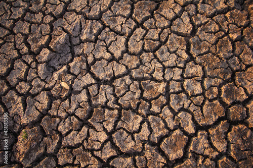 Dry soil texture and background