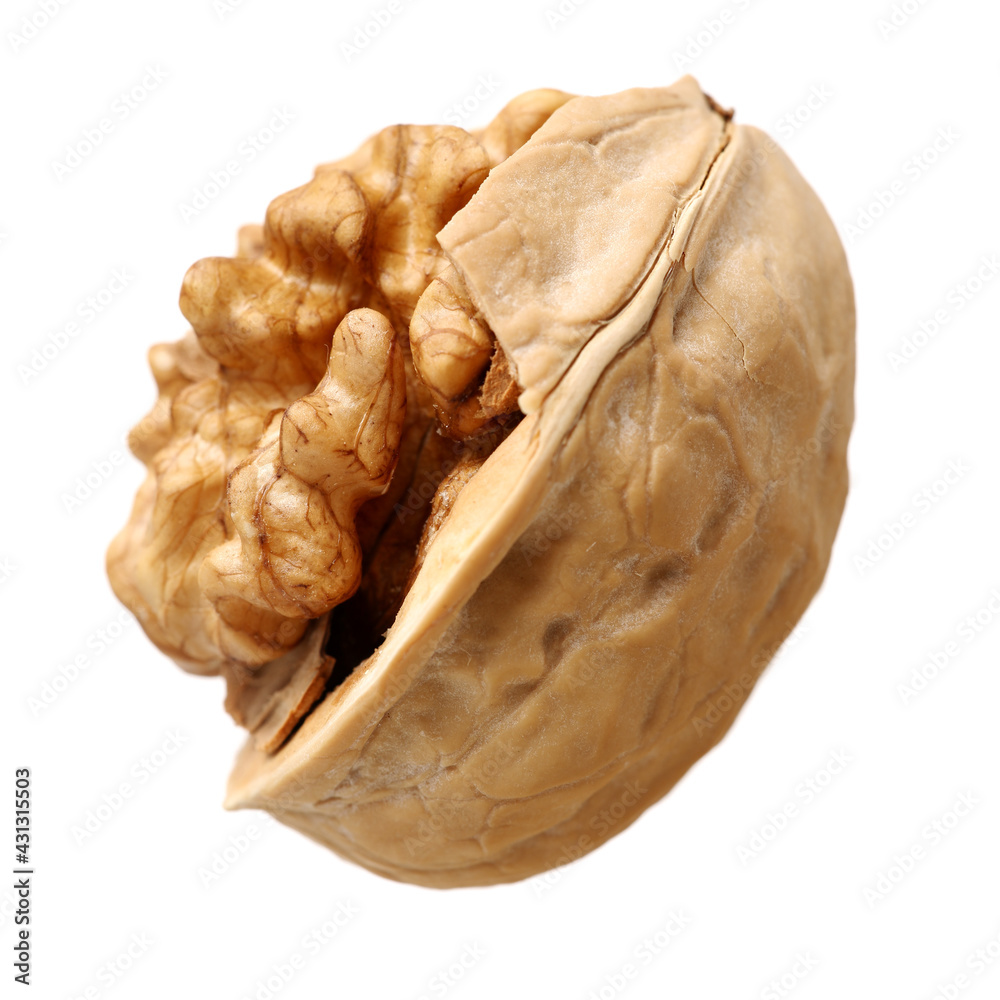 walnuts on a white background walnuts on a white background
