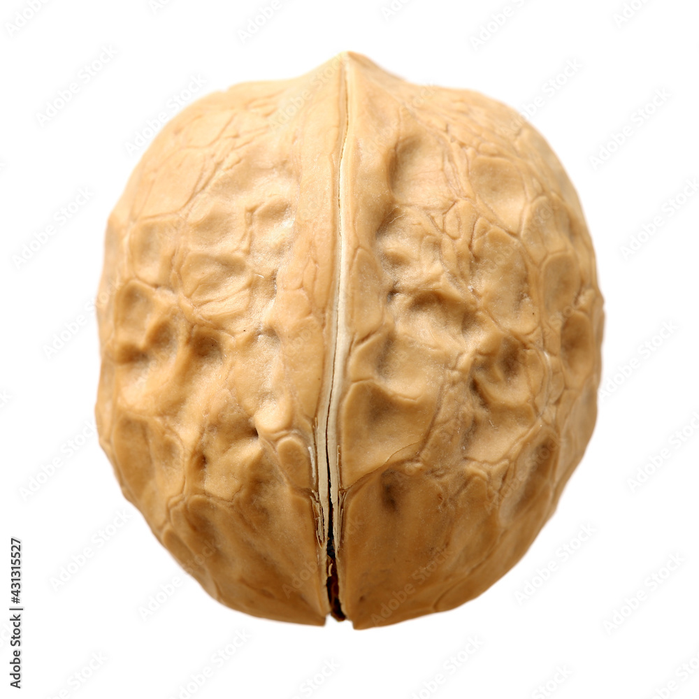walnuts on a white background walnuts on a white background
