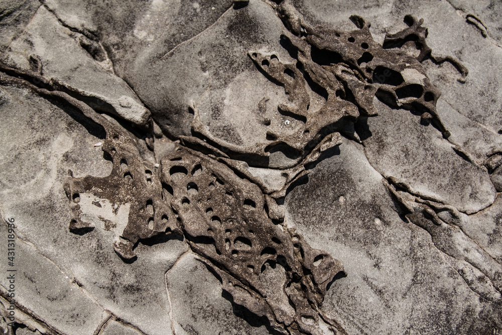 stone texture stone texture