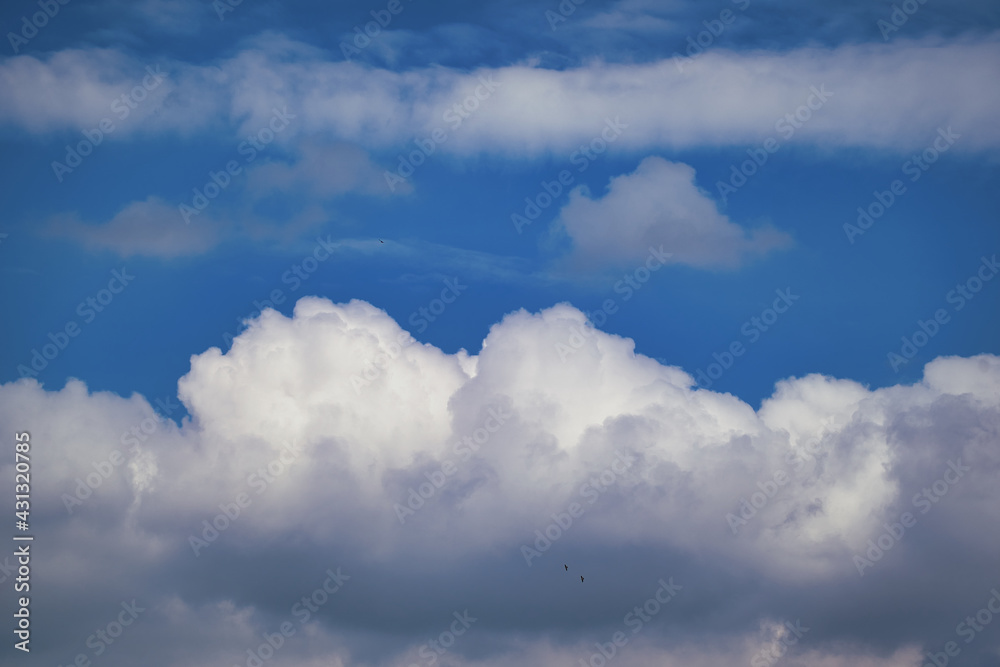 Fototapeta premium blue sky with clouds