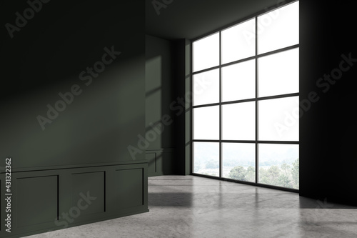 Modern living room interior with concrete floor. Home architecture renovation concept. Empty mock up green copy space wall. No people.