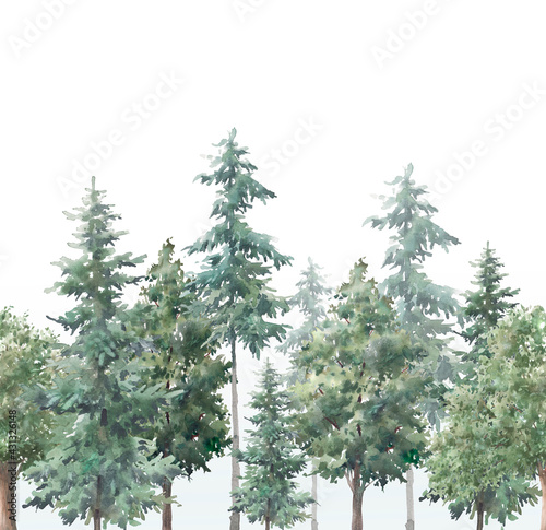 Watercolor woodland repeating border. Seamless wallpaper design with forest trees. Evergreen trees  oak  fir natural background