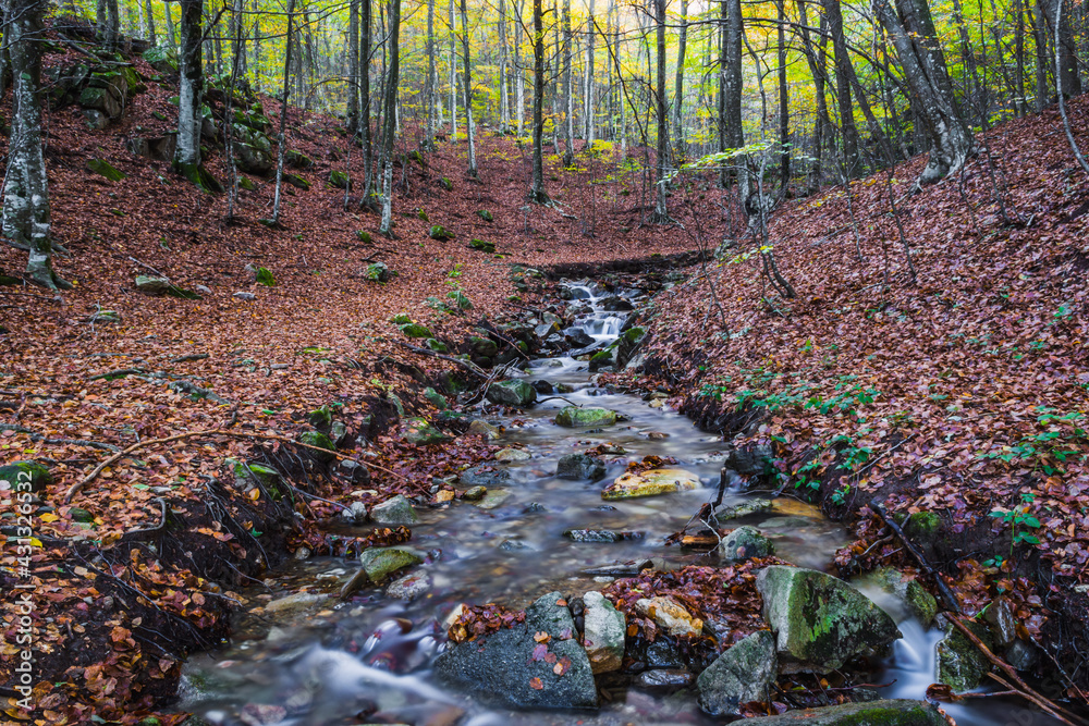 Beautiful stream of water in the autumn forest. Beautiful stream of water in the autumn forest.