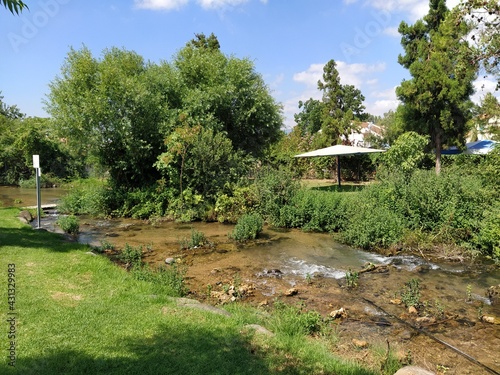Wallpaper Mural garden in the park Torontodigital.ca