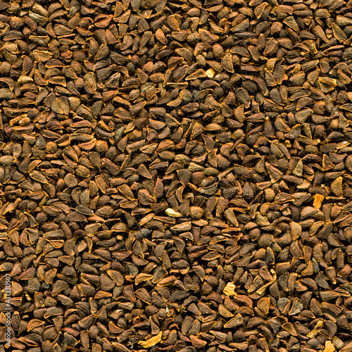 Close up brown harmal seed texture, uzerlik tohumu photo