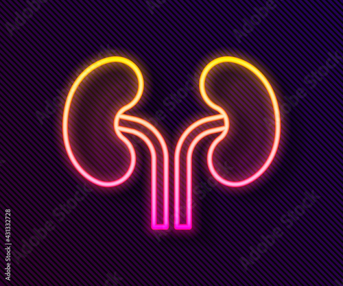 Glowing neon line Human kidneys icon isolated on black background. Vector
