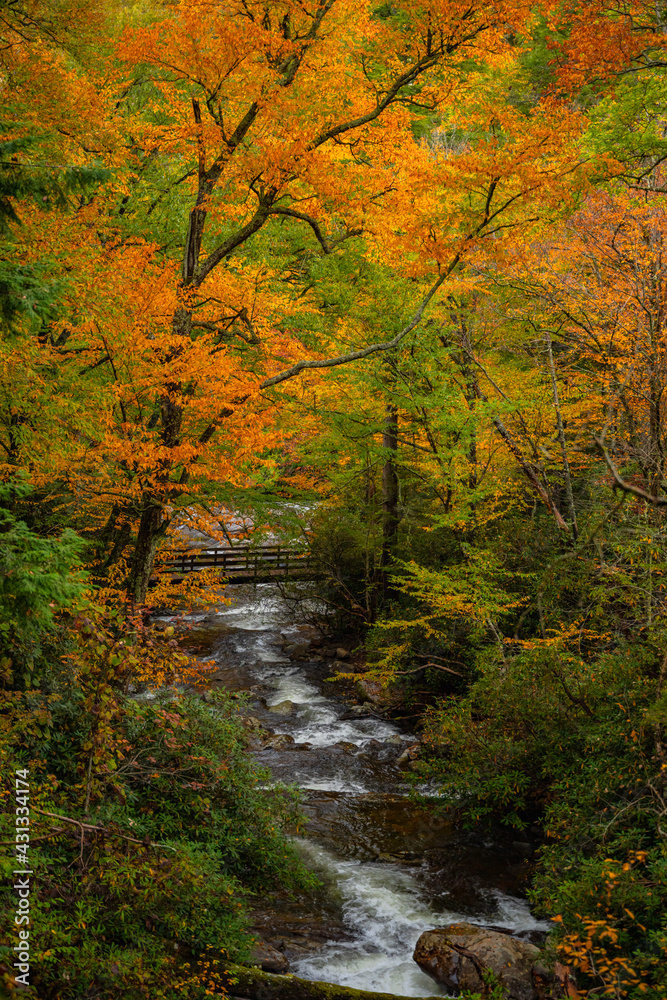 Distant Bridge Surrounded By Towering Fall Colored Trees