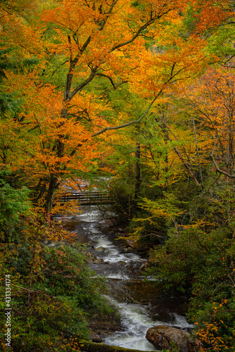 Distant Bridge Surrounded By Towering Fall Colored Trees