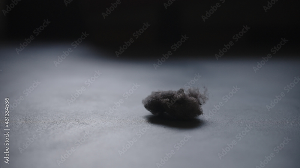 closeup shot of dust ball on concrete floor closeup shot of dust ball on concrete floor