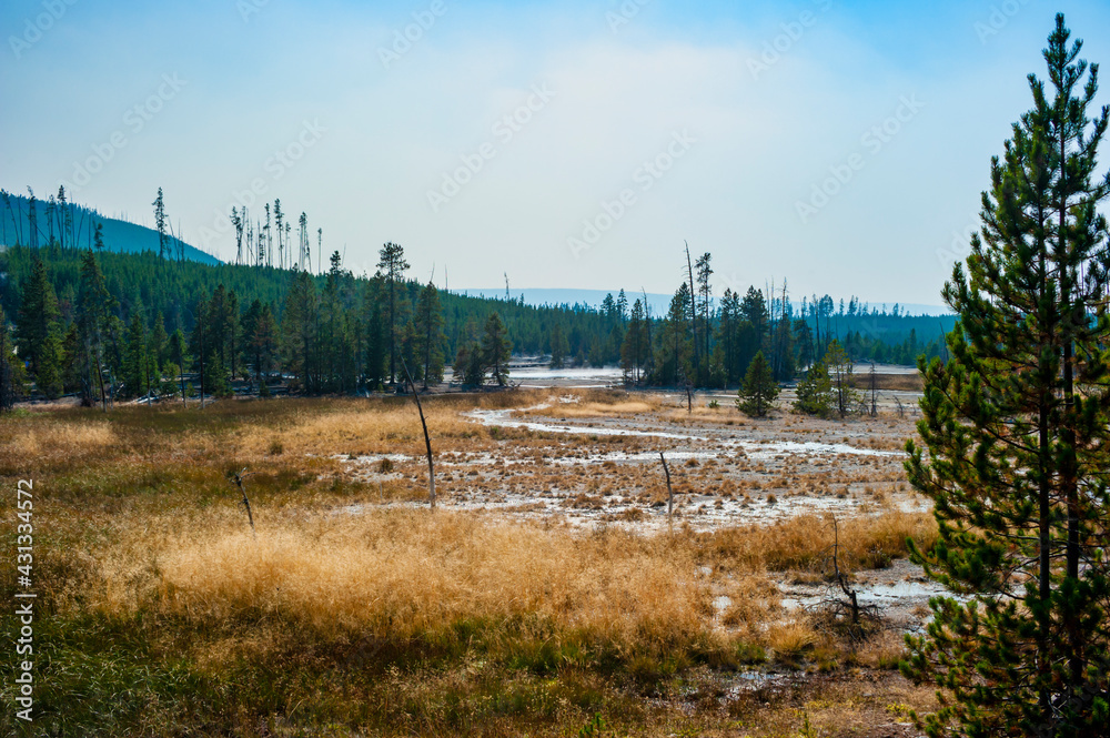 Vista view of Norris Geyser Basin in Yellowstone National Park