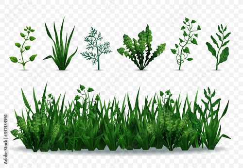 Green Grasses Set