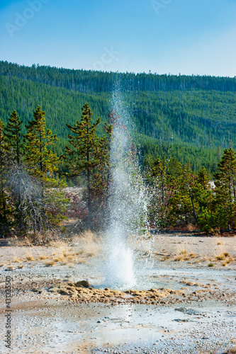 Tablou canvas Vixen geyser before an eruption in the Norris geyser basin in Yellowstone