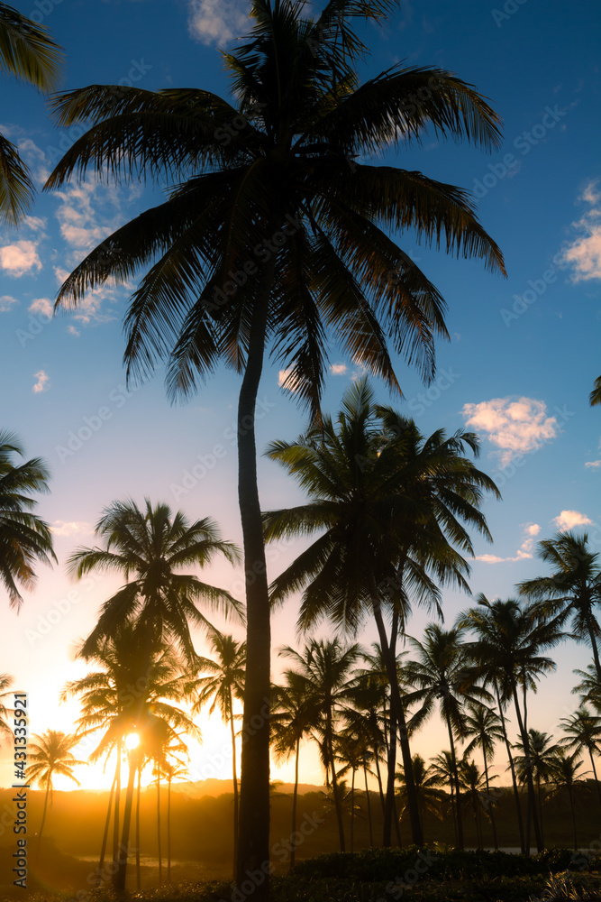 Beautiful sunset among palm trees. Beach vacation landscape.