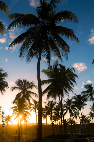 Beautiful sunset among palm trees. Beach vacation landscape.